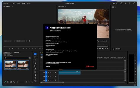 在Adobe Premiere Pro软件界面中加载LUT滤镜的操作示意图